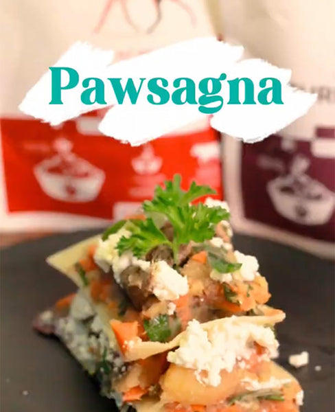 Pawsagna Recipe | Dog-Friendly Lasagna for Your Pup