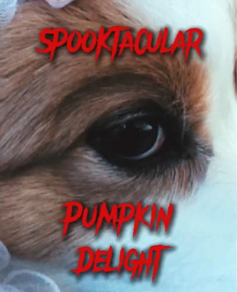 Spooktacular Pumpkin Delight | Halloween Themed Pumpkin Cake for Dogs