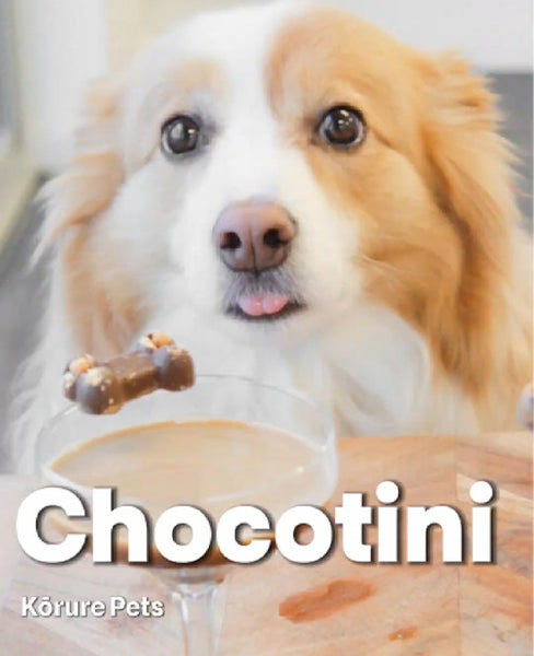 Choctini Recipe for Dogs | Delicious & Dog-Safe Treat