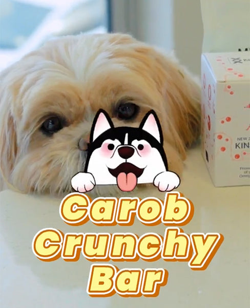 Carob Chunky Bar for Dogs | Healthy & Delicious Dog Treat Recipe