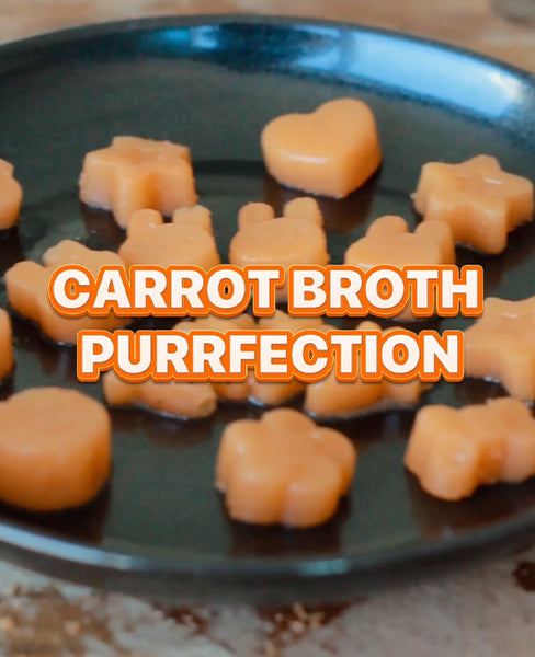 Carrot Broth Purrfection | Carrot and Bone Broth Treats for your Pets