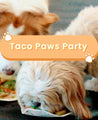 Dog-Friendly Tacos | Fun and Healthy Taco Recipe for Your Pup