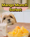 Mango Munch Sorbet | Refreshing Mango Sorbet for Dogs