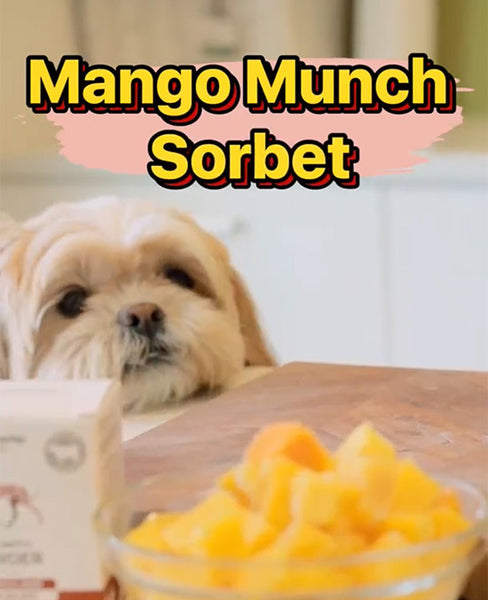 Mango Munch Sorbet | Refreshing Mango Sorbet for Dogs