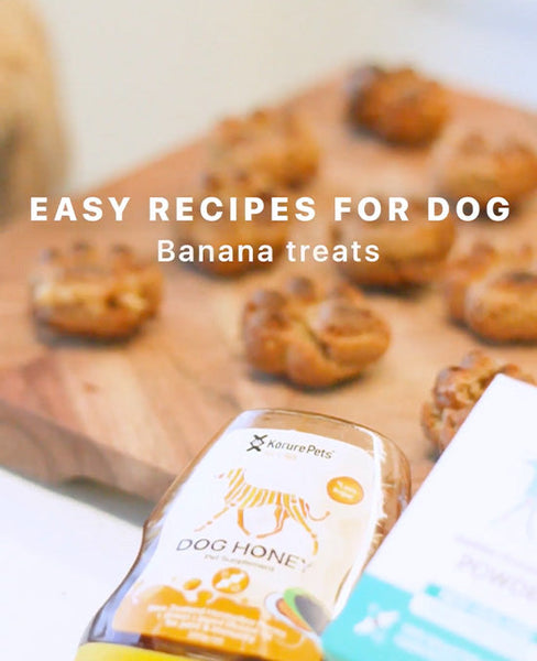 Healthy Banana Dog Treats Recipe | Kōrure Pets Dog Honey & MP Powder