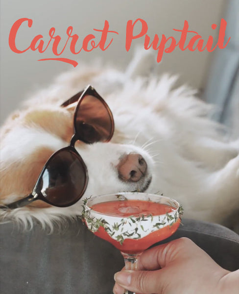 Carrot Puptail: Healthy Dog-Friendly Summer Drink | Kōrure Pets