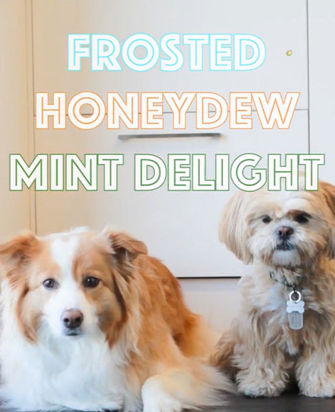 Frosted Honey Dew Mint Delight: Refreshing Summer Treat for Dogs | Kōrure Pets