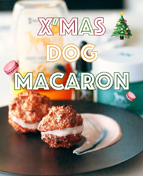 Dog-Friendly Macarons: A Gourmet Christmas Treat for Your Pup!