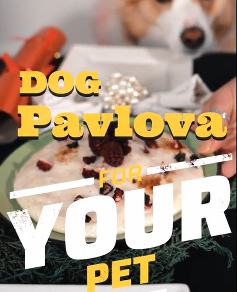 Pet-Friendly Pavlova Recipe: A Festive Treat Just for Your Dog!