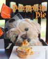 Healthy Pumpkin Pie for Dogs – A Perfect Halloween Treat