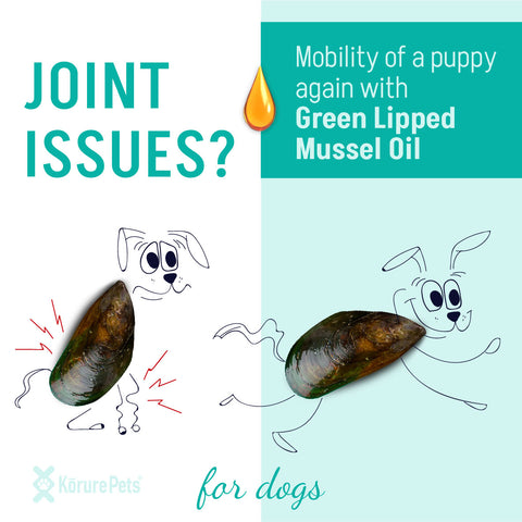 Dog NZ Green Lipped Mussel Oil