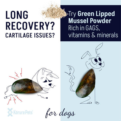 Dog NZ Green Lipped Mussel Powder