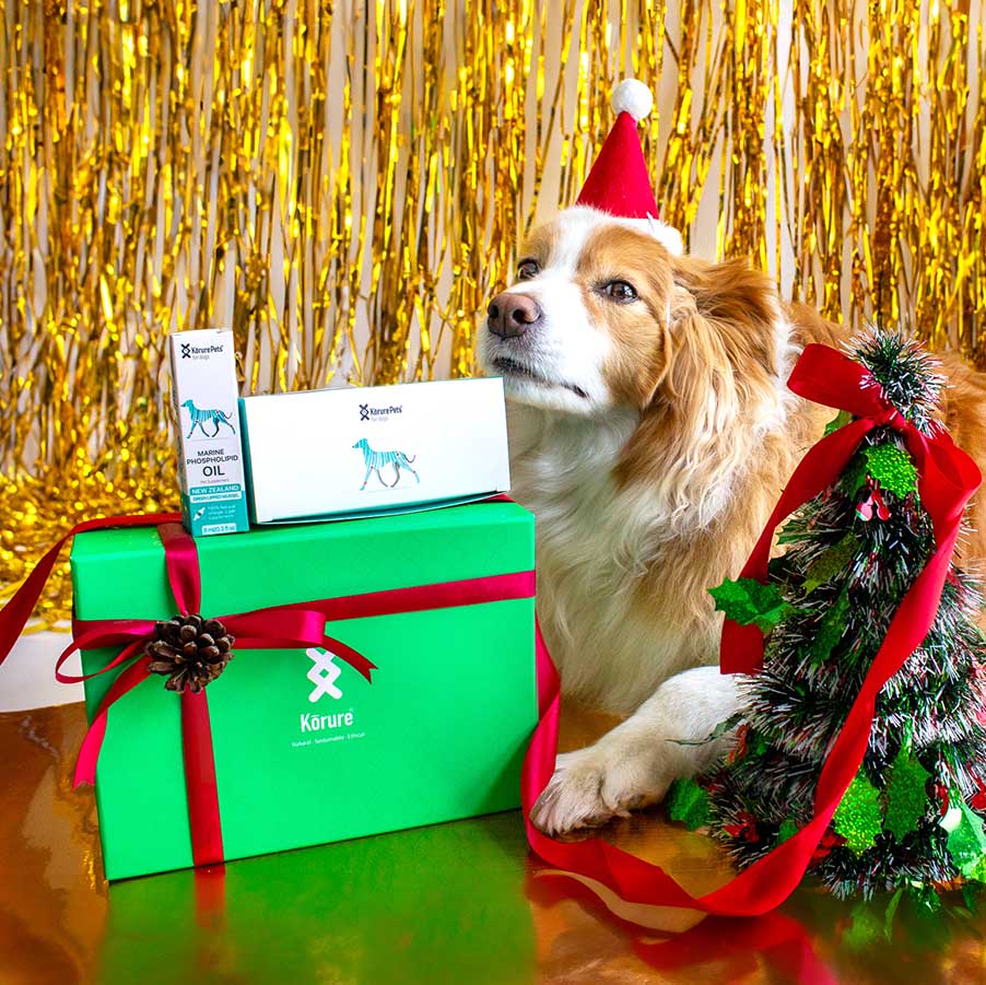 Christmas Health Bundle *DOG*