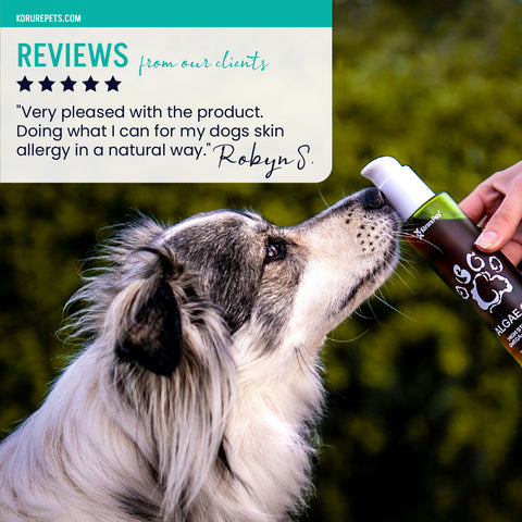 Dog Sustainable Omega-3 Oil