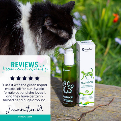 Cat Sustainable Omega-3 Oil